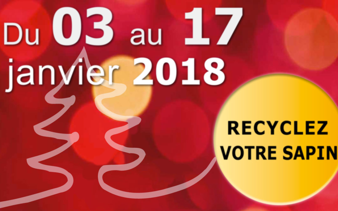 Visuel de la collecte des sapins