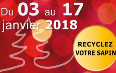 Recyclez votre sapins ! Des points de collecte sont à disposition.