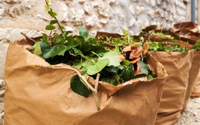 Collecte EXCEPTIONNELLE des déchets verts en point d’apport volontaire.