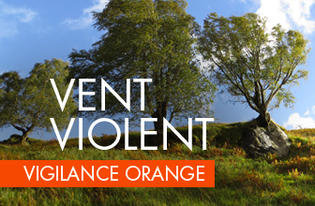 Alerte météo : Vigilance Orange Vents Violents
