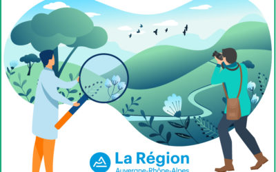 BHNS TREVOUX-LYON : UNE ETUDE ENVIRONNEMENTALE COMMANDEE PAR LA REGION