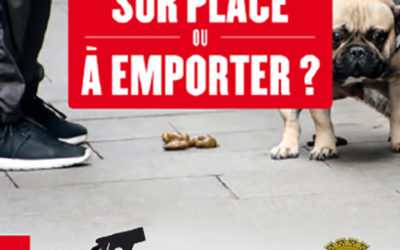 Mon chien à Genay : le bon geste face aux déjections canines
